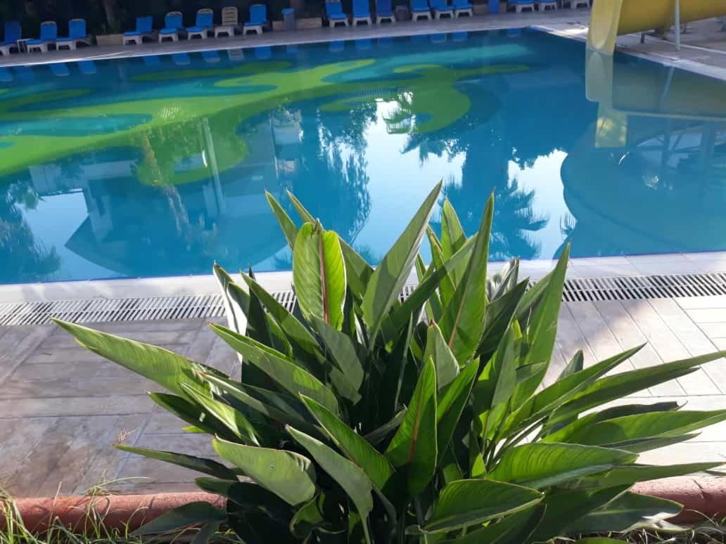 Club Jovia Kemer Hotel Antalya Bagian luar foto