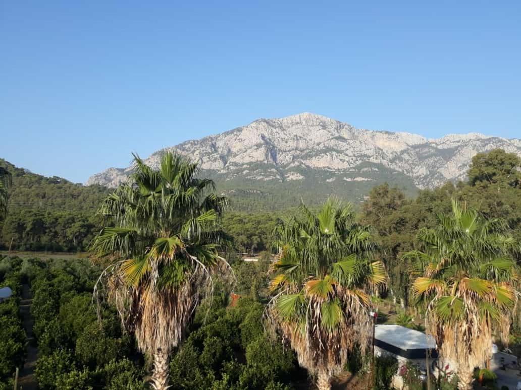 Club Jovia Kemer Hotel Antalya Bagian luar foto