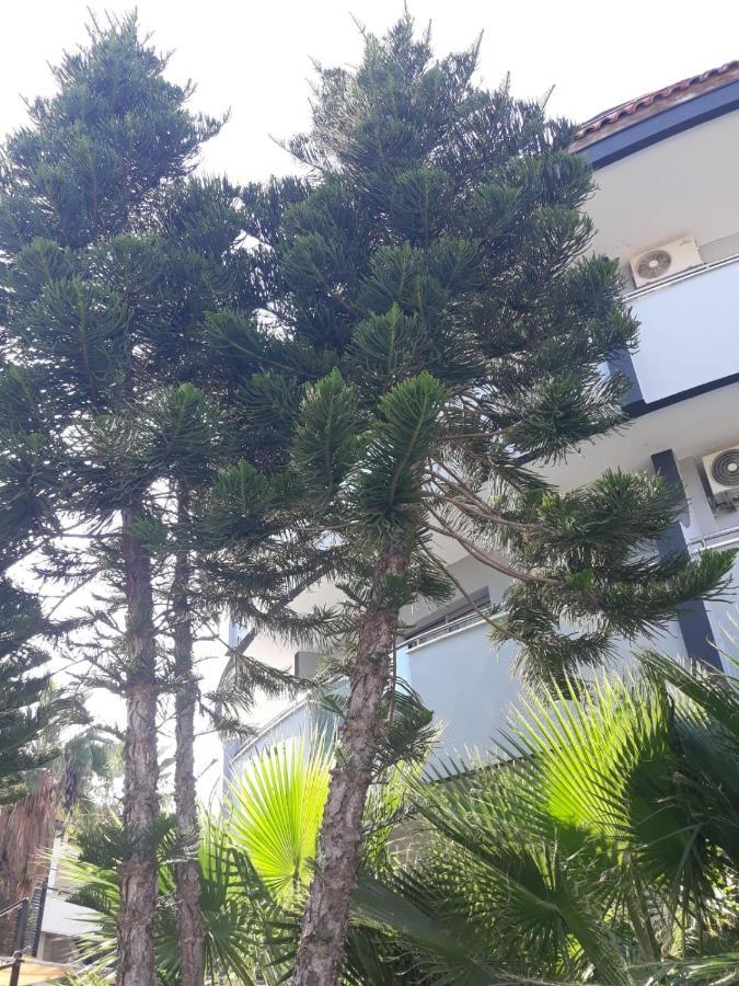 Club Jovia Kemer Hotel Antalya Bagian luar foto
